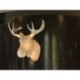 Applique Moo Northern Lighting