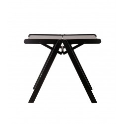 Table basse Rex