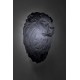 Aplique Wild Trophy