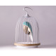 Lampe et enceinte Jingoo L'oiseau bleu DAQI CONCEPT