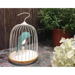 Lampe et enceinte Jingoo L'oiseau bleu DAQI CONCEPT