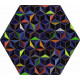 Tableau hexagonal mural DIS-2