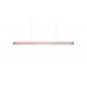 Suspensions I-Line LZF