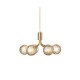 Suspension Apiales 6 NUURA