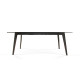 Table de cuisson Suiseki