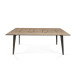 Table de cuisson Suiseki