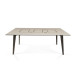 Table de cuisson Suiseki