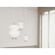 Suspensions Peanut LYFA