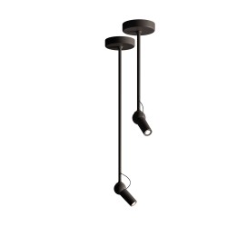 Suspension Bird KDLN
