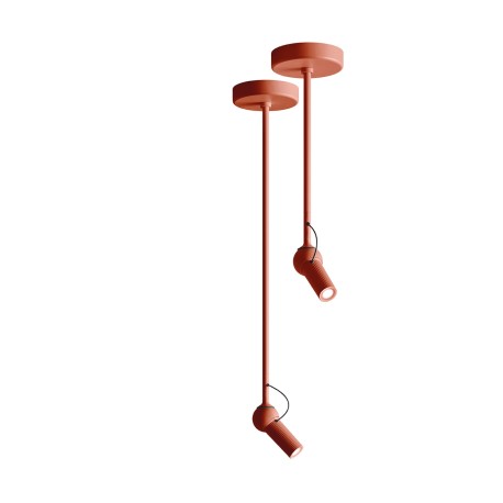 Suspension Bird KDLN