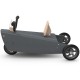 Jouet moto 4 en 1 pour enfant CHOU DU VOLANT