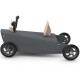 Bascule et porteur quad 4 en 1 CHOU DU VOLANT
